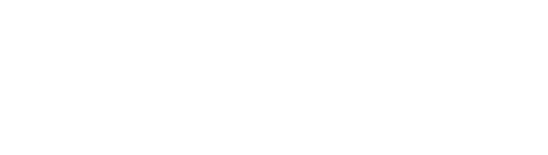 logoipsum-4.png